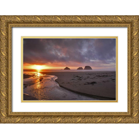 Oregon, Oceanside Sunset on Three Arch Rocks Gold Ornate Wood Framed Art Print with Double Matting by Terrill, Steve