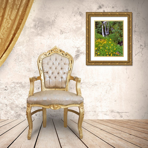 Oregon, Columbia River Gorge NSA Triple Falls Gold Ornate Wood Framed Art Print with Double Matting by Terrill, Steve