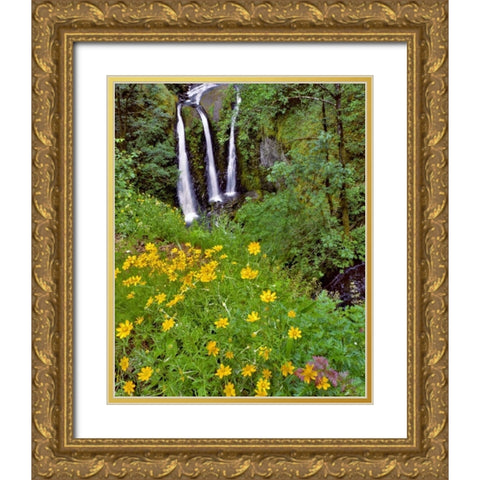 Oregon, Columbia River Gorge NSA Triple Falls Gold Ornate Wood Framed Art Print with Double Matting by Terrill, Steve