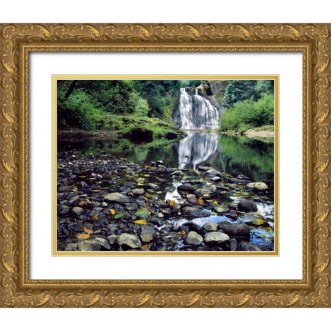 Oregon, Youngs River Falls Waterfall landscape Gold Ornate Wood Framed Art Print with Double Matting by Terrill, Steve