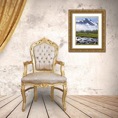 OR, Mt Jefferson Wilderness Mt Jefferson at dawn Gold Ornate Wood Framed Art Print with Double Matting by Terrill, Steve