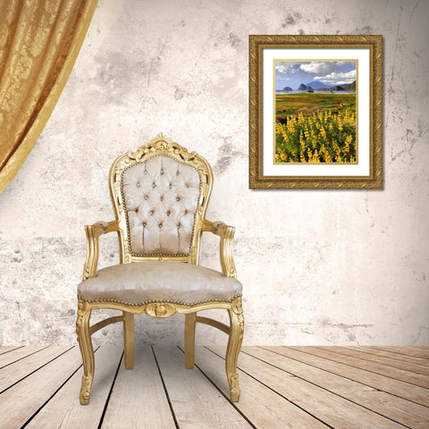 OR, Ophir Yellow lupine and ocean beach Gold Ornate Wood Framed Art Print with Double Matting by Terrill, Steve