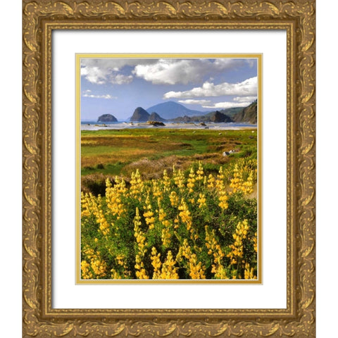 OR, Ophir Yellow lupine and ocean beach Gold Ornate Wood Framed Art Print with Double Matting by Terrill, Steve