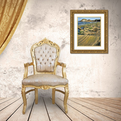 OR, Seal Rock SP Patterns on sandstone rock Gold Ornate Wood Framed Art Print with Double Matting by Terrill, Steve