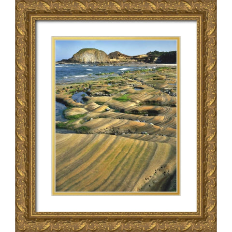 OR, Seal Rock SP Patterns on sandstone rock Gold Ornate Wood Framed Art Print with Double Matting by Terrill, Steve