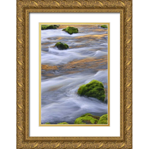 Oregon, Willamette NF McKenzie River over rocks Gold Ornate Wood Framed Art Print with Double Matting by Terrill, Steve