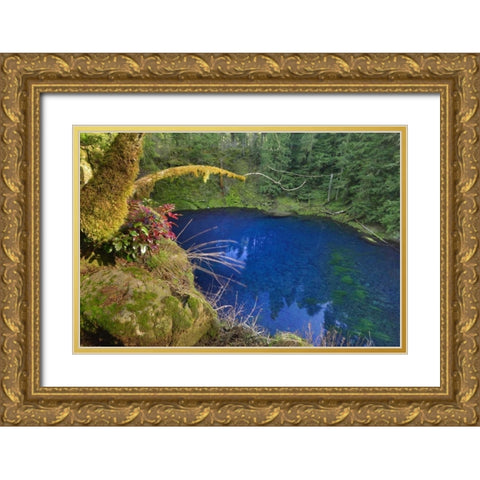 Oregon Blue or Tamolitch Pool on McKenzie River Gold Ornate Wood Framed Art Print with Double Matting by Terrill, Steve