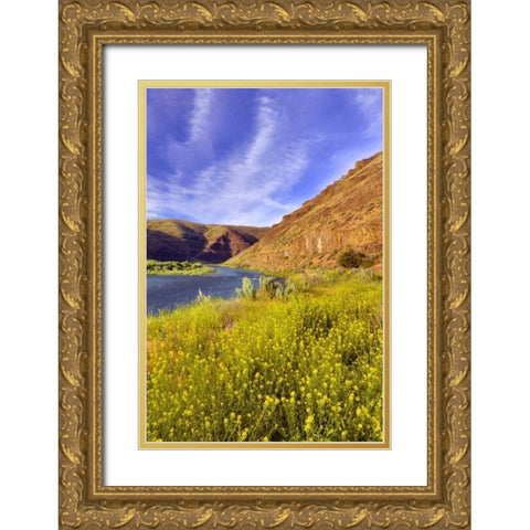 Oregon, John Day River Cliffs and wild mustard Gold Ornate Wood Framed Art Print with Double Matting by Terrill, Steve
