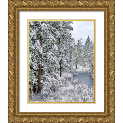 Oregon Fresh snowfall along Warm Springs River Gold Ornate Wood Framed Art Print with Double Matting by Terrill, Steve