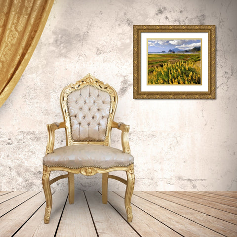 Oregon Landscape of yellow lupine and beach Gold Ornate Wood Framed Art Print with Double Matting by Terrill, Steve