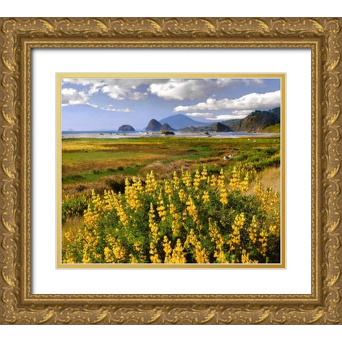 Oregon Landscape of yellow lupine and beach Gold Ornate Wood Framed Art Print with Double Matting by Terrill, Steve