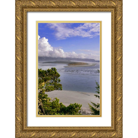 Oregon Netarts Bay in Cape Lookout State Park Gold Ornate Wood Framed Art Print with Double Matting by Terrill, Steve