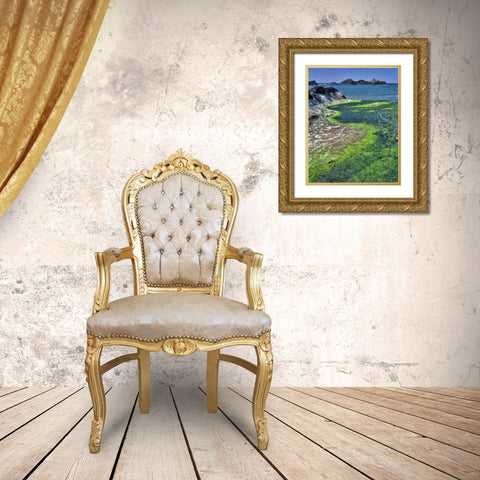 Oregon Rock formations and algae at Seal Rock Gold Ornate Wood Framed Art Print with Double Matting by Terrill, Steve