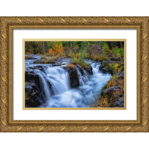 Oregon-Rogue-Umpqua Scenic Byway Upper Rogue River cascades into narrow gorge Gold Ornate Wood Framed Art Print with Double Matting by Jaynes Gallery