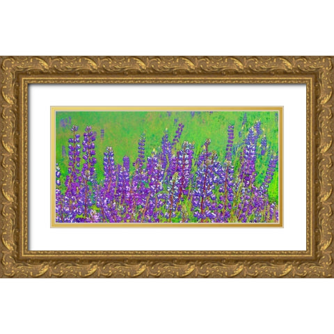 California-Redwood National Park Abstract of lupine flowers Gold Ornate Wood Framed Art Print with Double Matting by Jaynes Gallery
