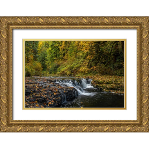 USA-Oregon-Silver Falls State Park Waterfalls and forest in autumn Gold Ornate Wood Framed Art Print with Double Matting by Jaynes Gallery