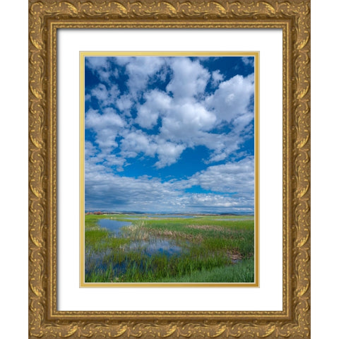 Malheur National Wildlife Refuge Gold Ornate Wood Framed Art Print with Double Matting by Sederquist, Betty