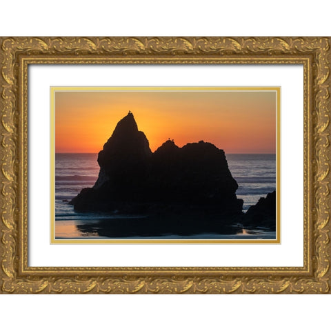 Humbug Point at sunset near Cannon Beach-Oregon-USA Gold Ornate Wood Framed Art Print with Double Matting by Haney, Chuck