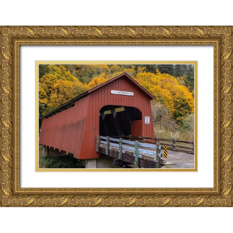 Chitwood Covered Bridge in autumn in Lincoln County-Oregon-USA Gold Ornate Wood Framed Art Print with Double Matting by Haney, Chuck