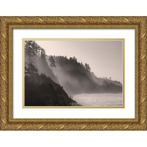 Sea mist rises along Indian Beach at Ecola State Park in Cannon Beach-Oregon-USA Gold Ornate Wood Framed Art Print with Double Matting by Haney, Chuck