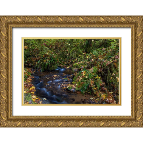 Munson Creek Falls State Natural Site in autumn near Tillamook-Oregon-USA Gold Ornate Wood Framed Art Print with Double Matting by Haney, Chuck