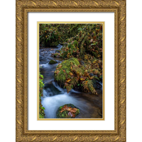 Munson Creek Falls State Natural Site in autumn near Tillamook-Oregon-USA Gold Ornate Wood Framed Art Print with Double Matting by Haney, Chuck