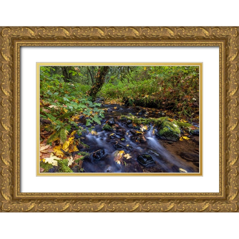 Munson Creek Falls State Natural Site in autumn near Tillamook-Oregon-USA Gold Ornate Wood Framed Art Print with Double Matting by Haney, Chuck