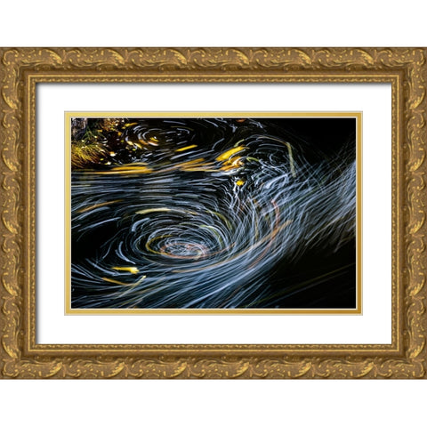 Eddy forms swirling patterns in the Nehalem River in autumn in the Tillamook State Forest-Oregon-USA Gold Ornate Wood Framed Art Print with Double Matting by Haney, Chuck
