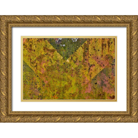 USA- Oregon- Tillamook. Close-up of old and rusted painted front truck bumper Gold Ornate Wood Framed Art Print with Double Matting by Gulin, Darrell