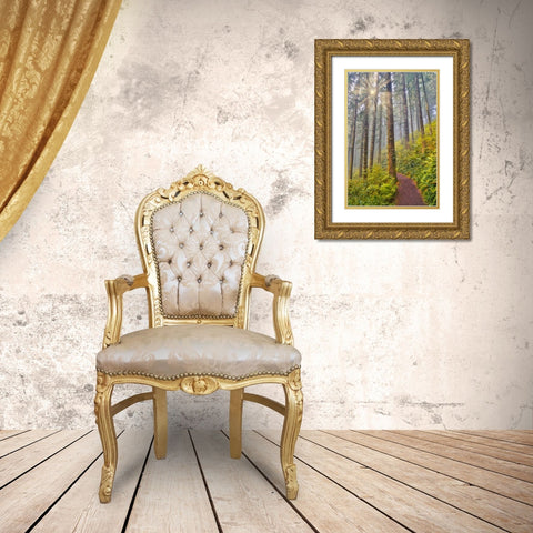 USA- Oregon. Lookout State Park trail with fog amongst Sitka spruce forest with sunrays Gold Ornate Wood Framed Art Print with Double Matting by Gulin, Darrell