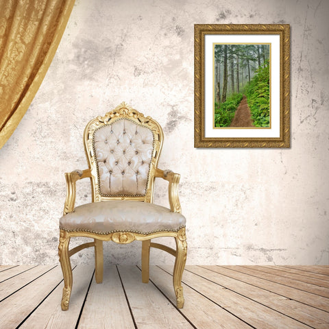USA- Oregon. Lookout State Park trail with fog amongst Sitka spruce forest Gold Ornate Wood Framed Art Print with Double Matting by Gulin, Darrell