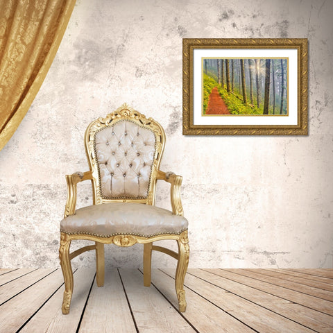 USA- Oregon. Lookout State Park trail with fog amongst Sitka spruce forest with sunrays Gold Ornate Wood Framed Art Print with Double Matting by Gulin, Darrell