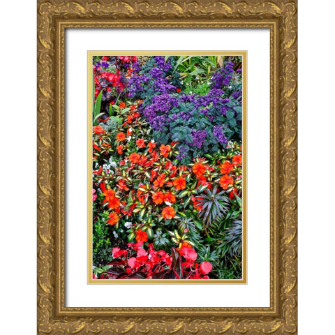 USA- Oregon. Cannon Beach Garden with orange New Guinea impatiens Gold Ornate Wood Framed Art Print with Double Matting by Gulin, Darrell