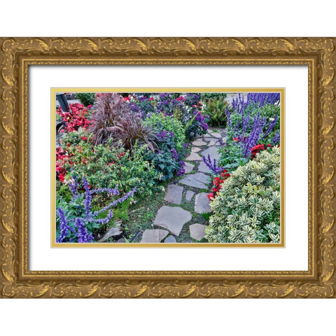 USA- Oregon. Cannon Beach Garden and path with Blue Salvia and reddish geraniums Gold Ornate Wood Framed Art Print with Double Matting by Gulin, Darrell