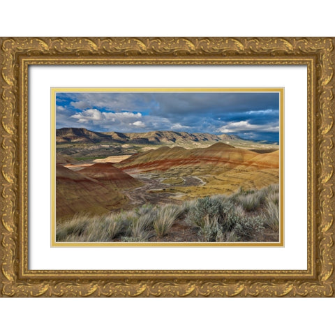 USA- Oregon. John Day Fossil Beds National Monument badlands landscape. Gold Ornate Wood Framed Art Print with Double Matting by Gulin, Darrell