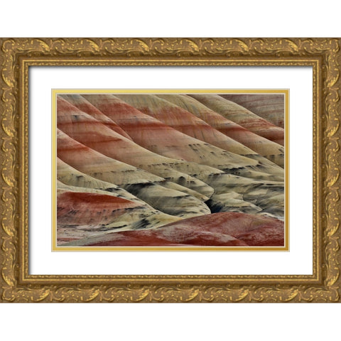 USA- Oregon. John Day Fossil Beds National Monument badlands landscape. Gold Ornate Wood Framed Art Print with Double Matting by Gulin, Darrell