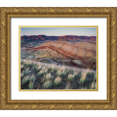 Painted Hills at John Day Fossil Beds National Monument-Oregon Gold Ornate Wood Framed Art Print with Double Matting by Garber, Howie