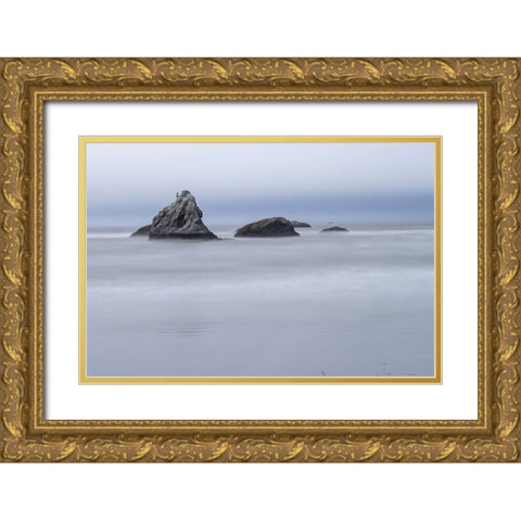 Usa-Oregon-Bandon Bandon Beach Gold Ornate Wood Framed Art Print with Double Matting by Looney, Hollice