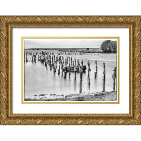 Usa-Oregon-Bandon Bandon Pier-Long Exposure Gold Ornate Wood Framed Art Print with Double Matting by Looney, Hollice