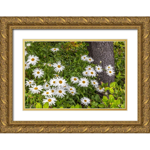 Usa-Oregon-Yachats Plantings Gold Ornate Wood Framed Art Print with Double Matting by Looney, Hollice