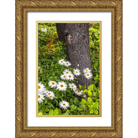 Usa-Oregon-Yachats Plantings Gold Ornate Wood Framed Art Print with Double Matting by Looney, Hollice