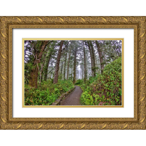 Usa-Oregon-Yachats Cape Perpetua Gold Ornate Wood Framed Art Print with Double Matting by Looney, Hollice