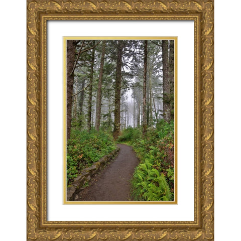 Usa-Oregon-Yachats Cape Perpetua Gold Ornate Wood Framed Art Print with Double Matting by Looney, Hollice