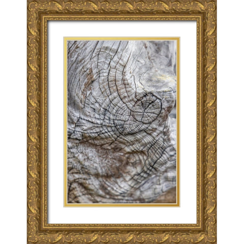 Usa-Oregon-Bandon Bandon Beach-Closeup of Wood on the Beach Gold Ornate Wood Framed Art Print with Double Matting by Looney, Hollice