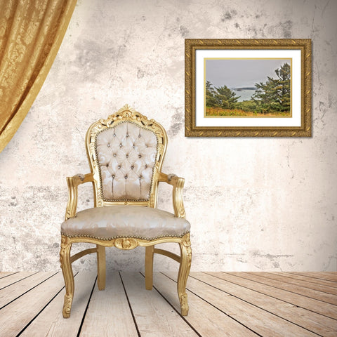 Usa-Oregon-Port Orford Cape Blanco Lighthouse-Coast Near Cape Blanco Lighthouse Gold Ornate Wood Framed Art Print with Double Matting by Looney, Hollice