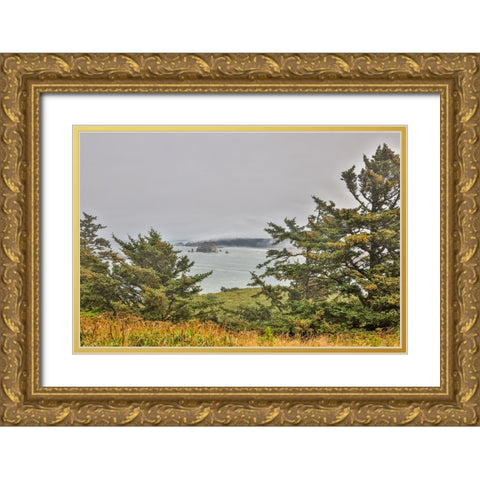 Usa-Oregon-Port Orford Cape Blanco Lighthouse-Coast Near Cape Blanco Lighthouse Gold Ornate Wood Framed Art Print with Double Matting by Looney, Hollice