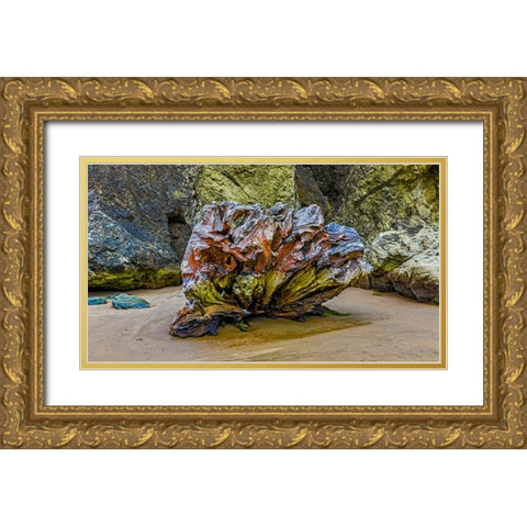 USA-Oregon-Bandon-Beach Gold Ornate Wood Framed Art Print with Double Matting by Restuccia, Joe III