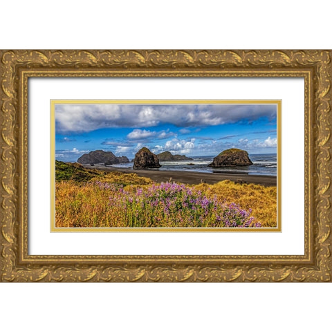 USA-Oregon-Cape Sebastian Gold Ornate Wood Framed Art Print with Double Matting by Restuccia, Joe III