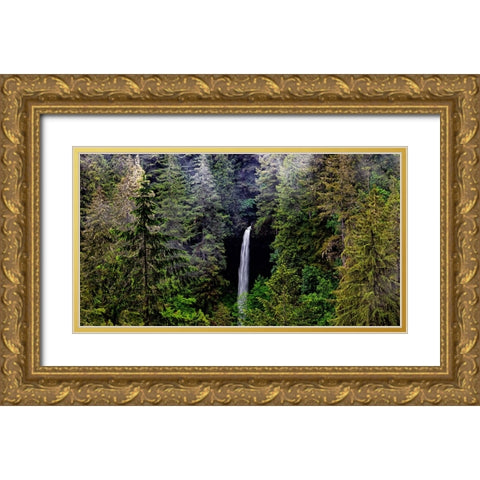 USA-Oregon-Silver Falls State Park-North Falls Gold Ornate Wood Framed Art Print with Double Matting by Restuccia, Joe III