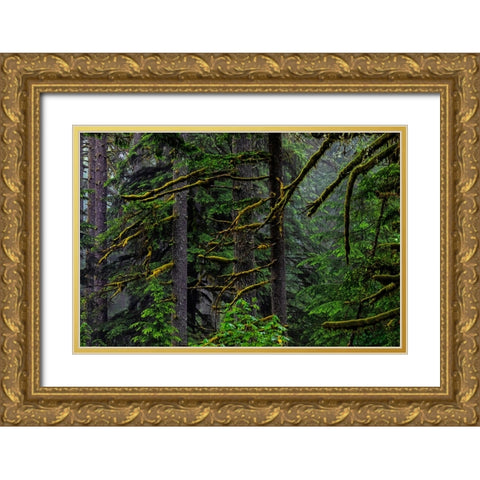 USA-Oregon-Silver Falls State Park Gold Ornate Wood Framed Art Print with Double Matting by Restuccia, Joe III